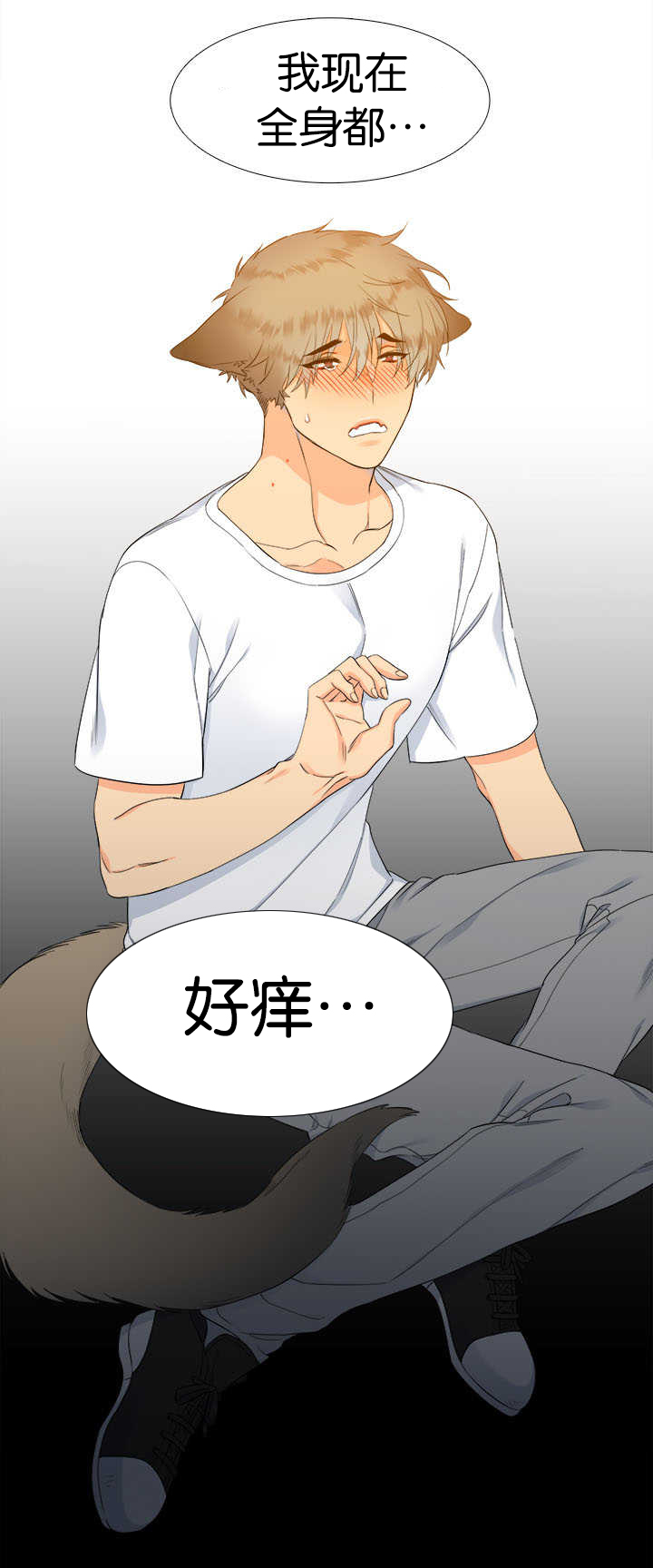 狼的香气免费版漫画,第31章：随心所欲3图