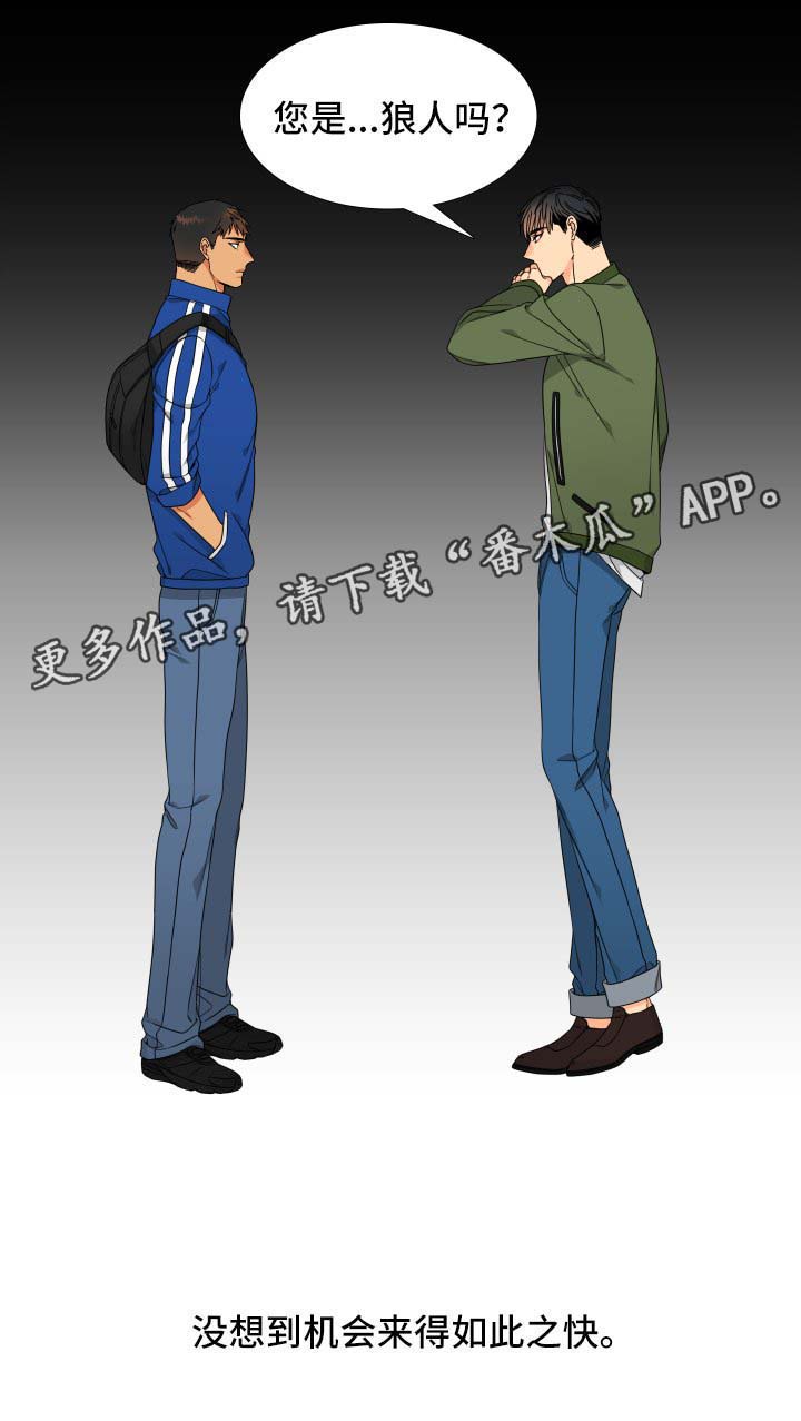 狼的香气免费全集漫画,第117章：【第二季】不能有失误4图