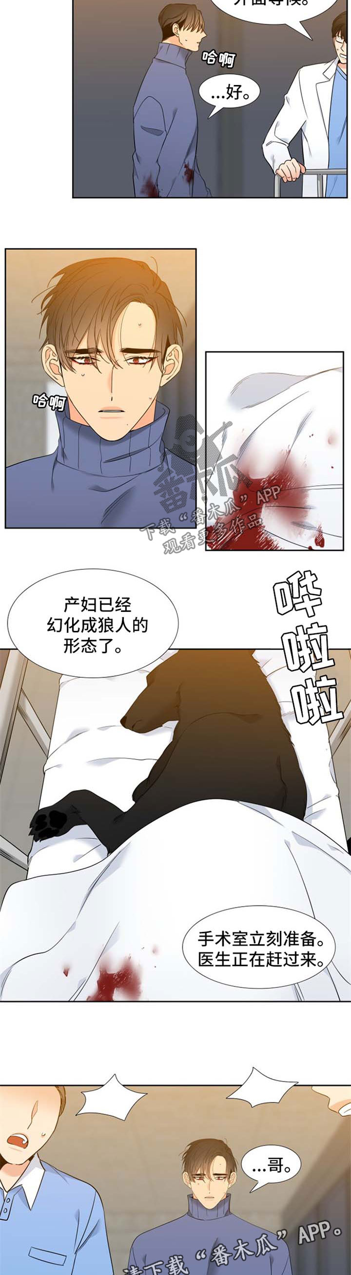 狼的香气完整版漫画,第197章：【第二季】生产4图
