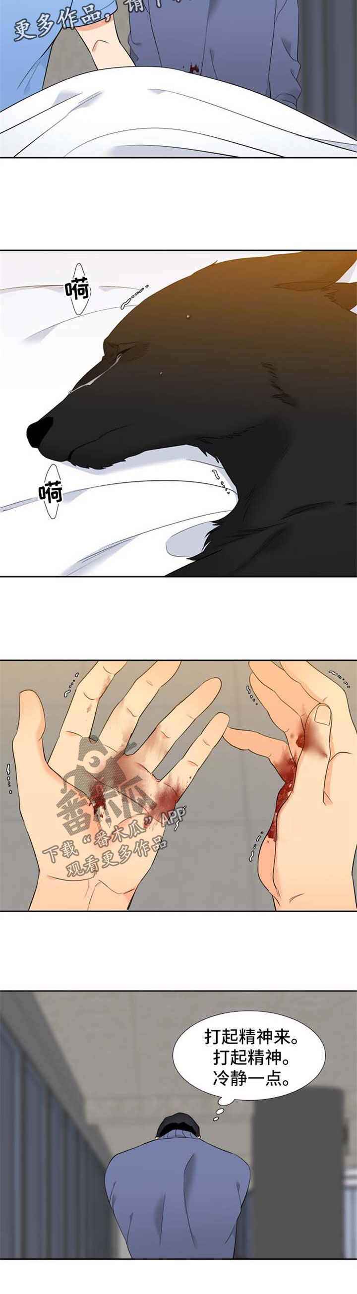 狼的香气完整版漫画,第197章：【第二季】生产5图