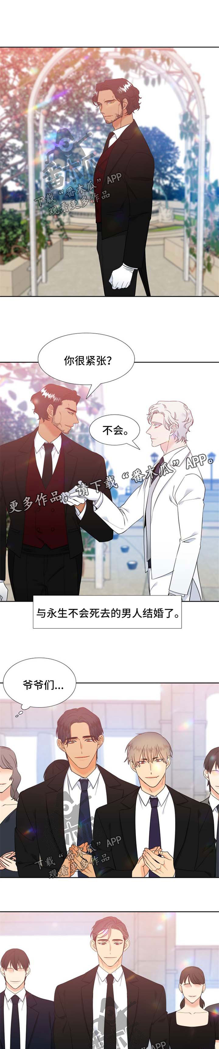 狼的香气完整版漫画,第240章：【第二季】他们的婚礼【完结】5图