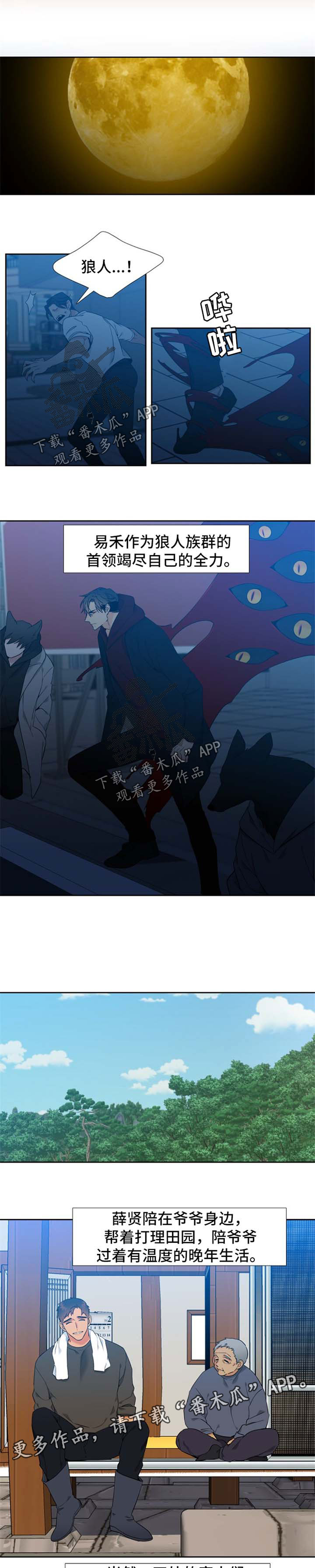 狼的香气完整版漫画,第240章：【第二季】他们的婚礼【完结】1图