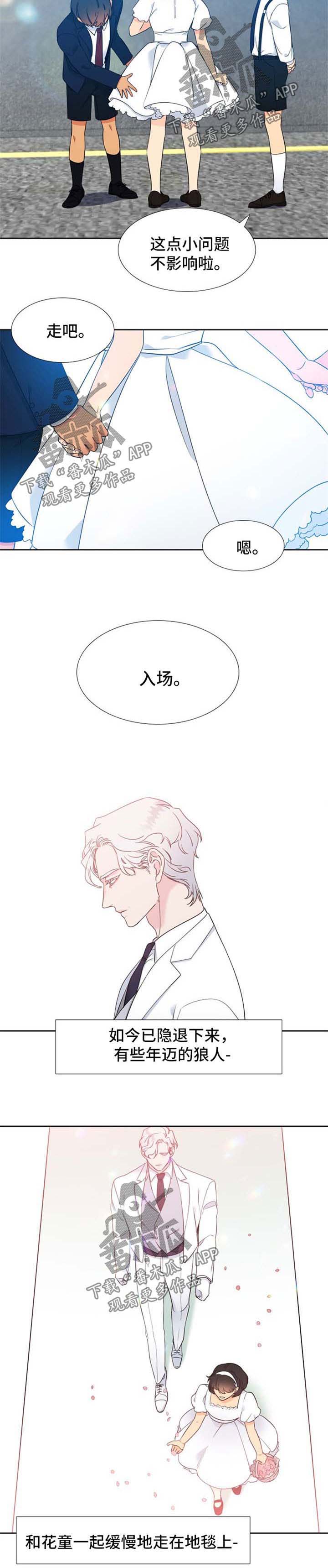 狼的香气完整版漫画,第240章：【第二季】他们的婚礼【完结】4图