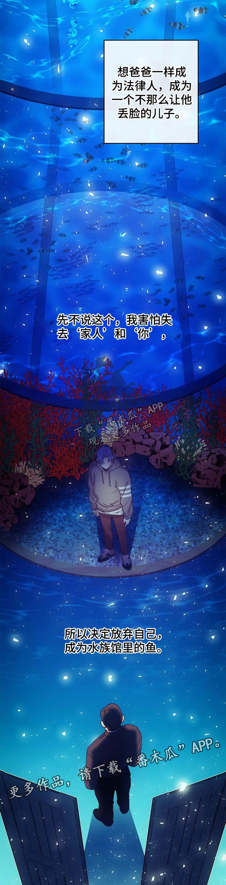 乡野旋律又名漫画,第43章：两人的感情4图