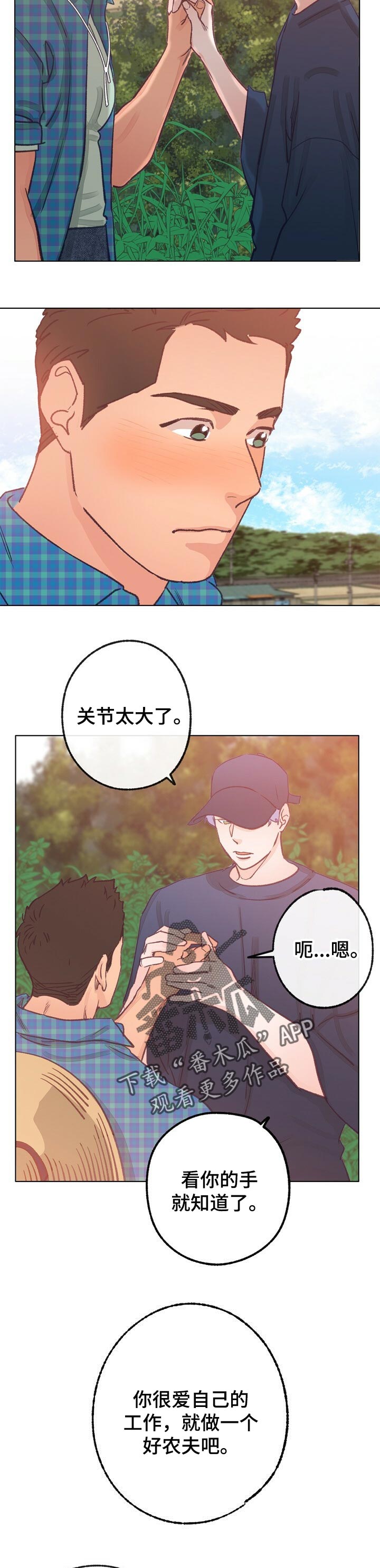乡野旋律漫画,第62章：弟弟2图