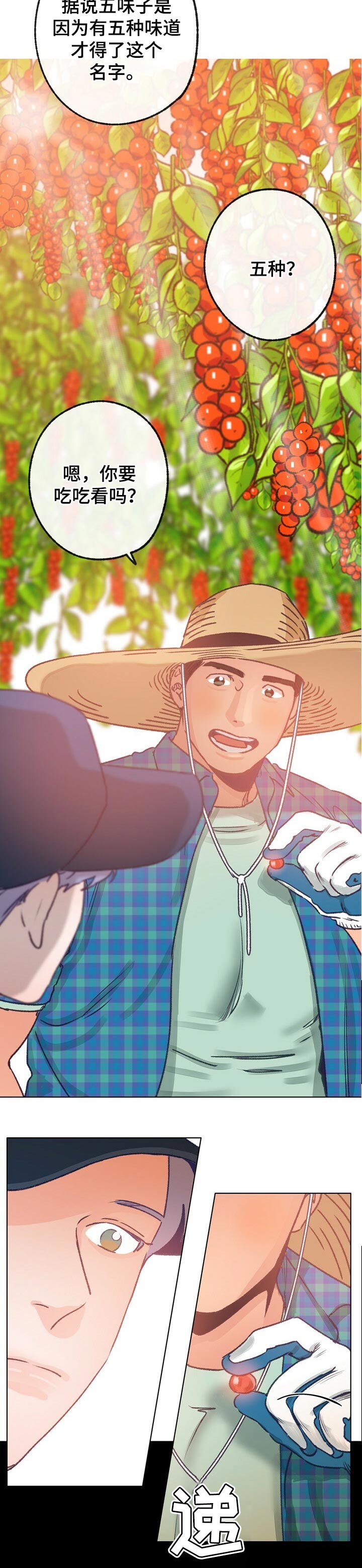 乡野旋律又名漫画,第61章：散步5图