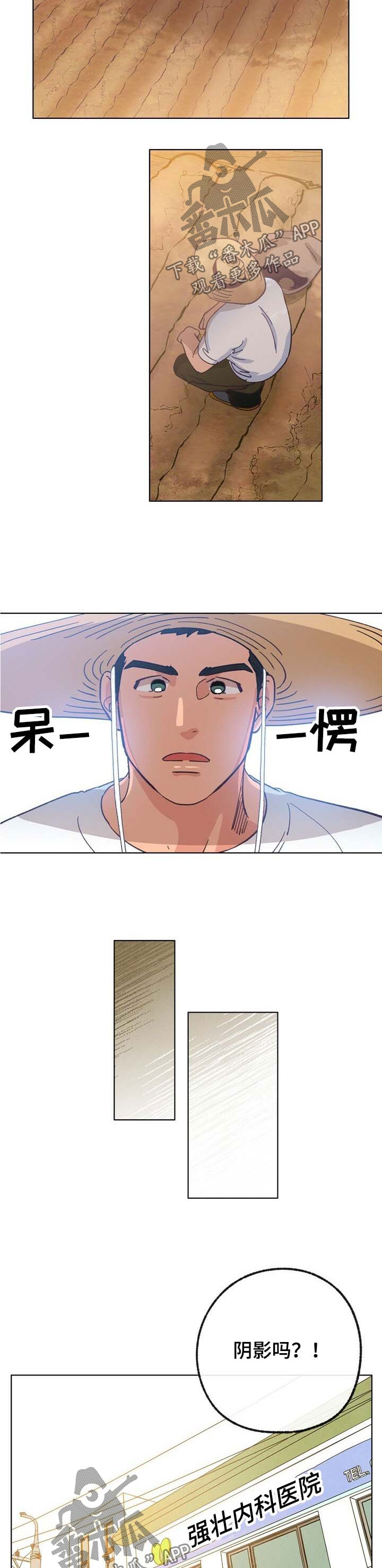 乡野旋律又名漫画,第39章：这是爱2图