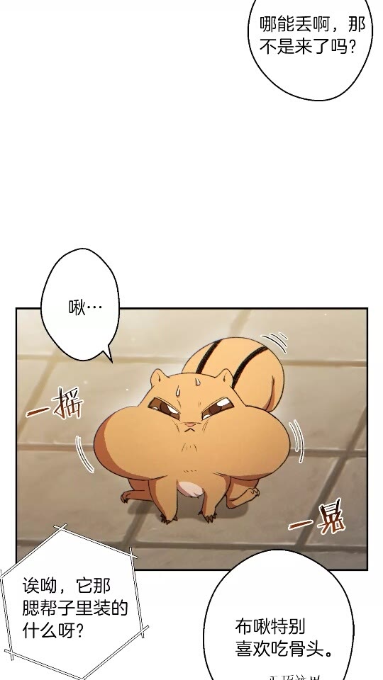 第32话 小矮蛙?3