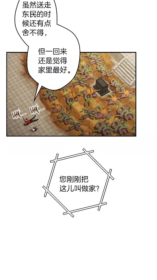 第37话 兔子的史诗技能！1