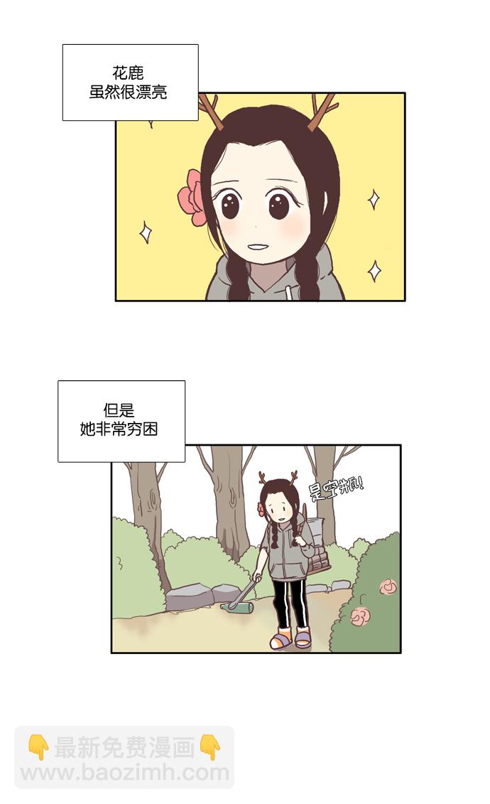 [第39话] 特别篇 - 少女的世界动物剧场1