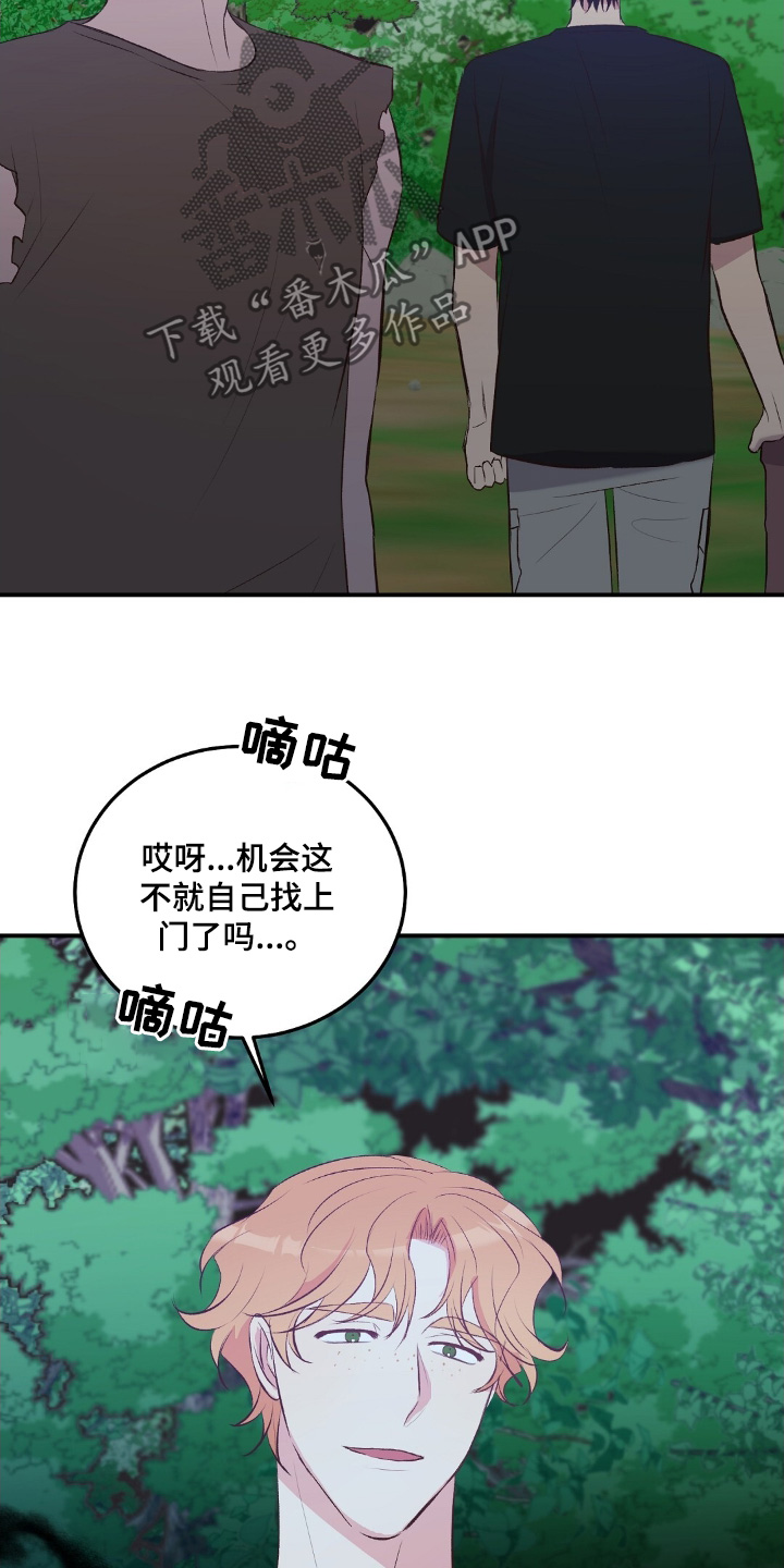 孤岛浪漫瞬间漫画,第62话5图