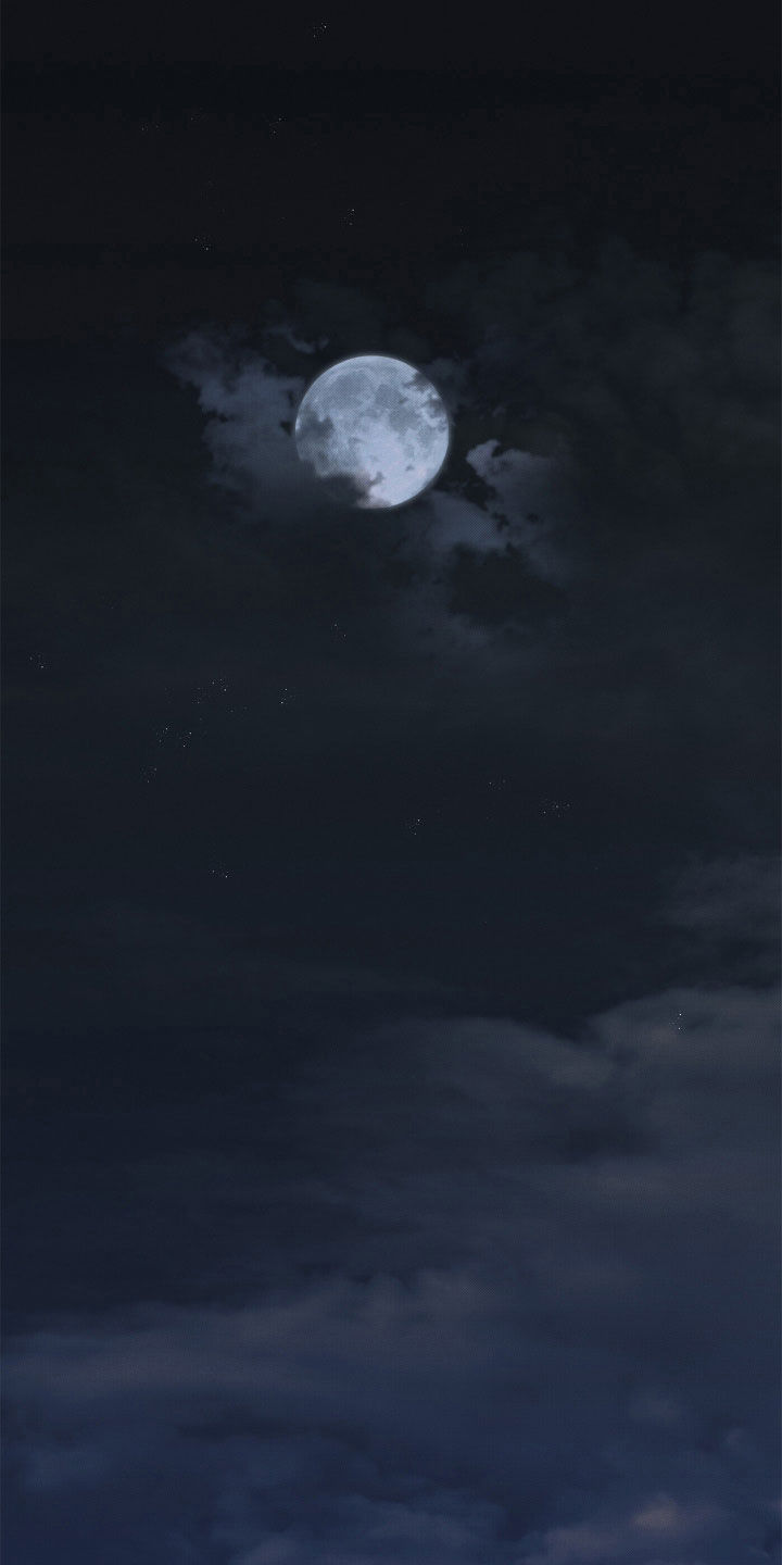 少年暴君人物介绍漫画,第15话1图