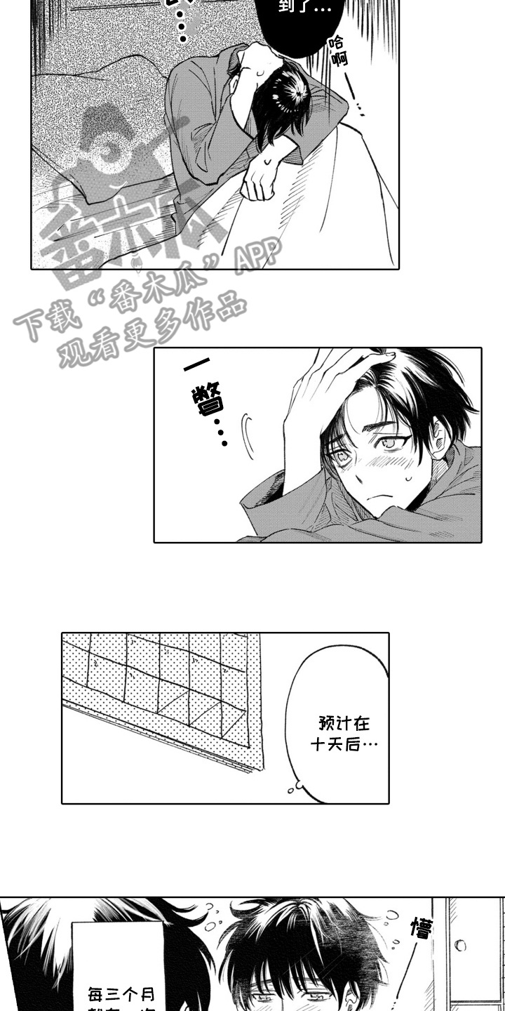 一只狼的爱情故事动画漫画,第3话2图