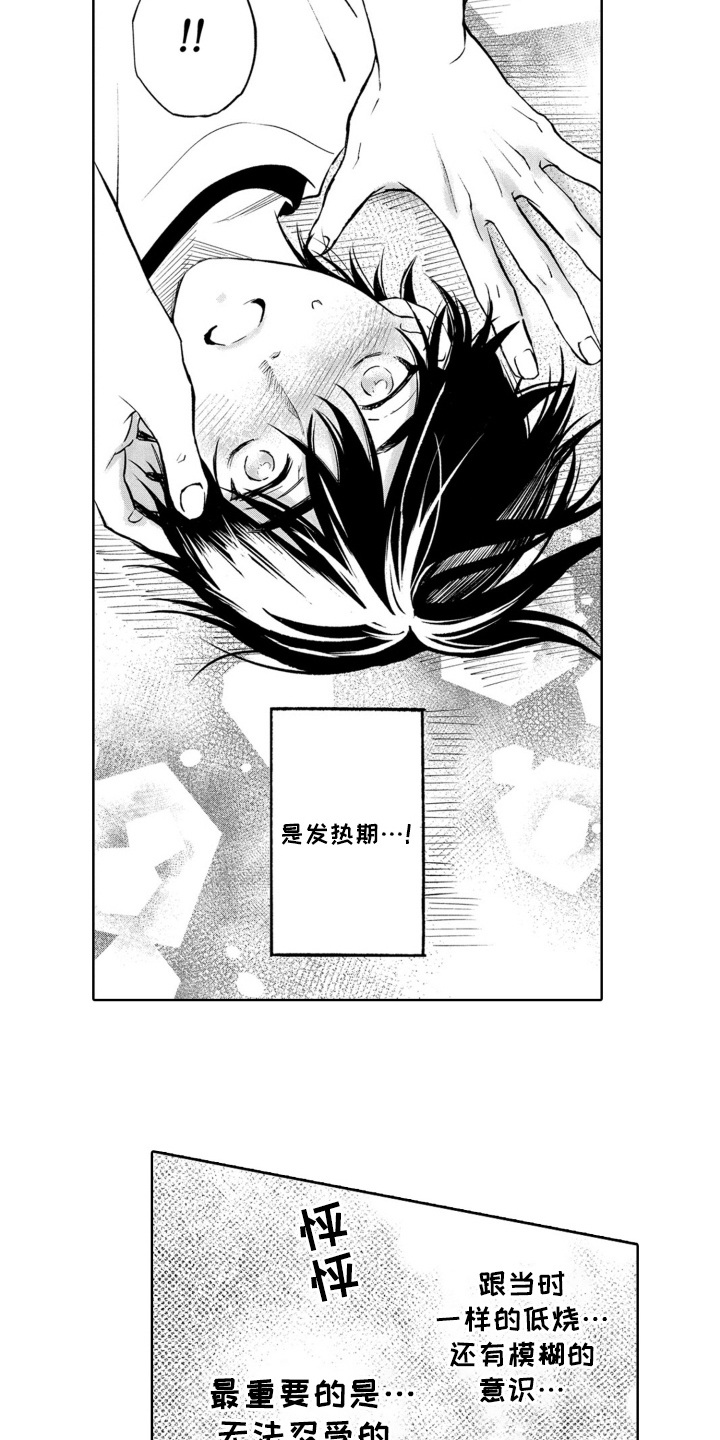 一只狼的爱情故事动画漫画,第19话4图