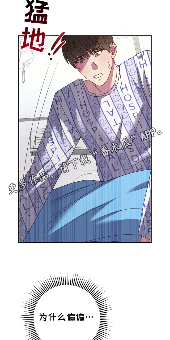 小酒窝和谁指腹为婚漫画,第3话5图