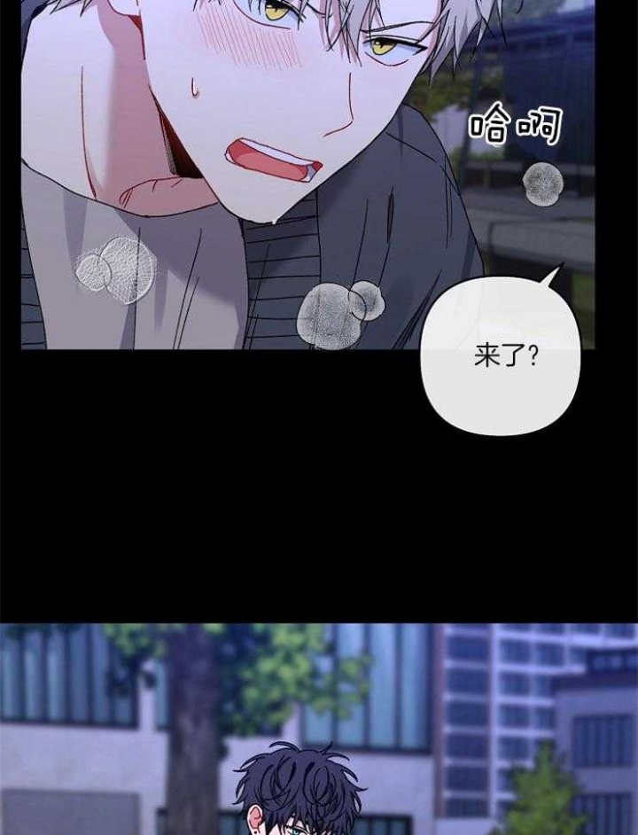 第49话0