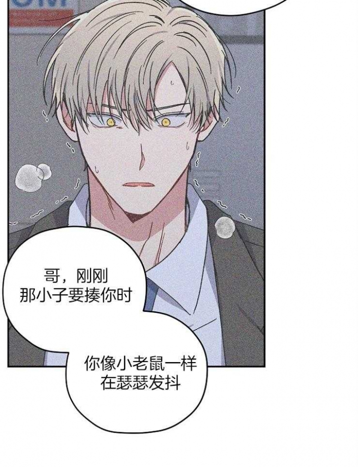 kiss 定律漫画,第78话5图