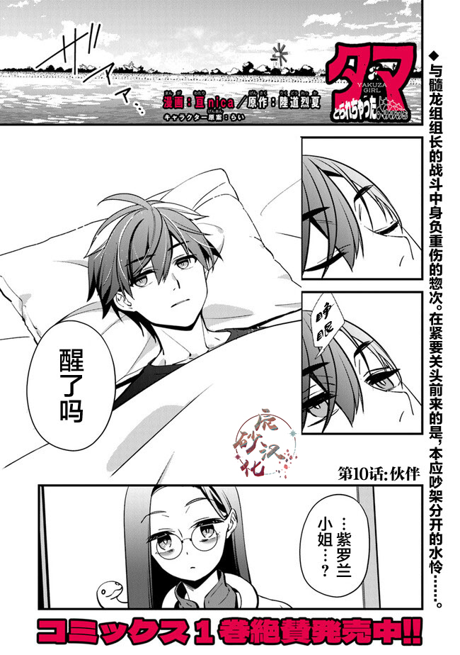 蛋蛋不见了漫画,第10话 伙伴1图