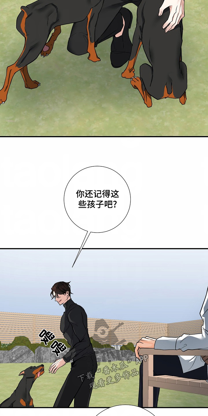 狩猎之夜 影评解析漫画,第42话4图