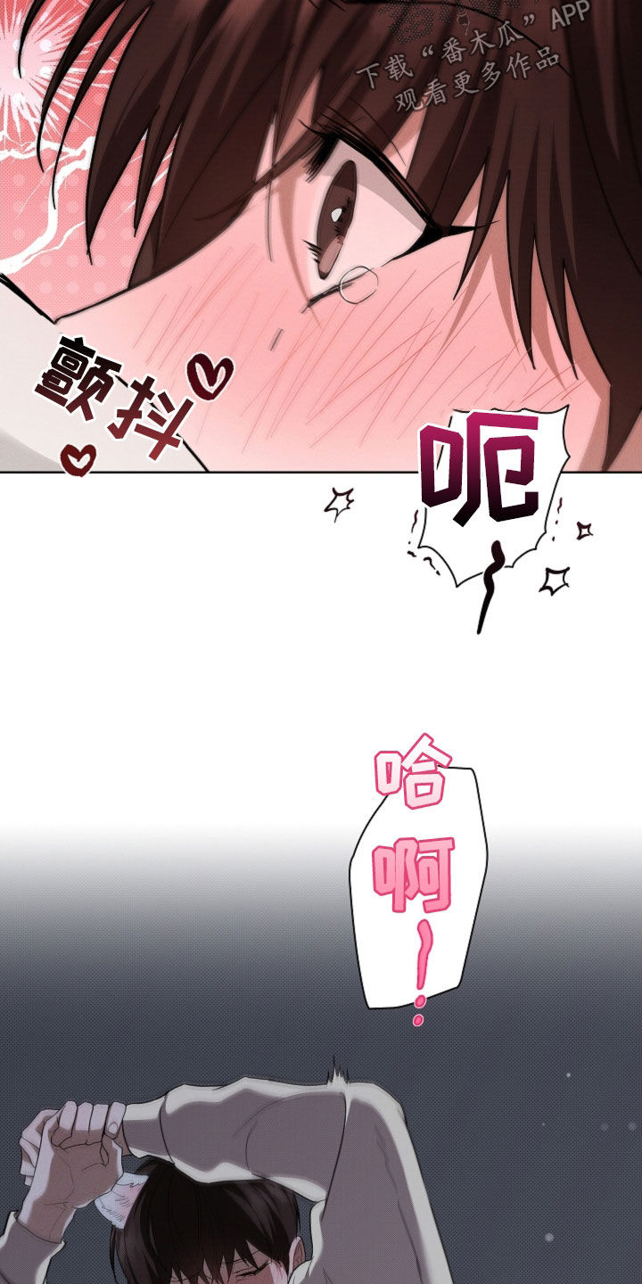 小白狗奇遇记漫画全集在线观看漫画,第60话5图