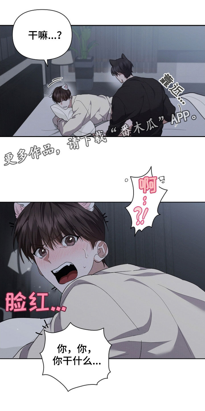 小白狗奇遇记漫画全集在线观看漫画,第60话1图