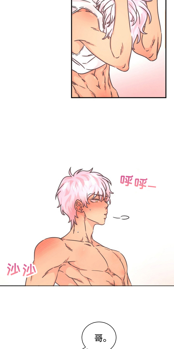 我的爱豆什么意思漫画,第17话3图