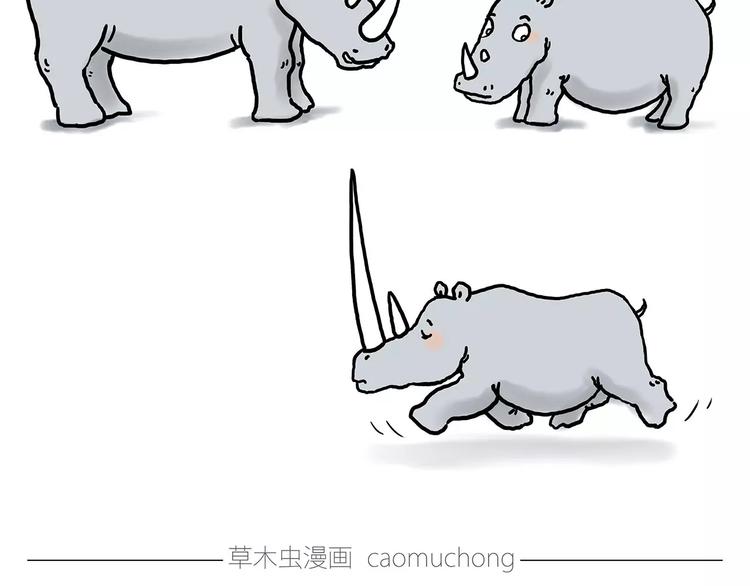 绘心一笑漫画,鸵鸟的秘密1图