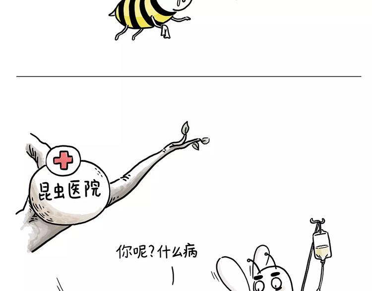 绘心一笑漫画,第152话 苹果鸟？？？1图