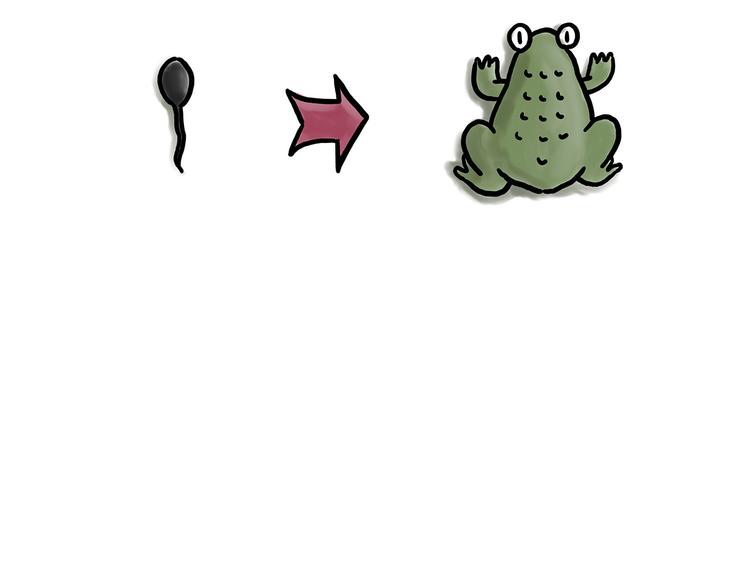 绘心一笑漫画,师父看快播2图