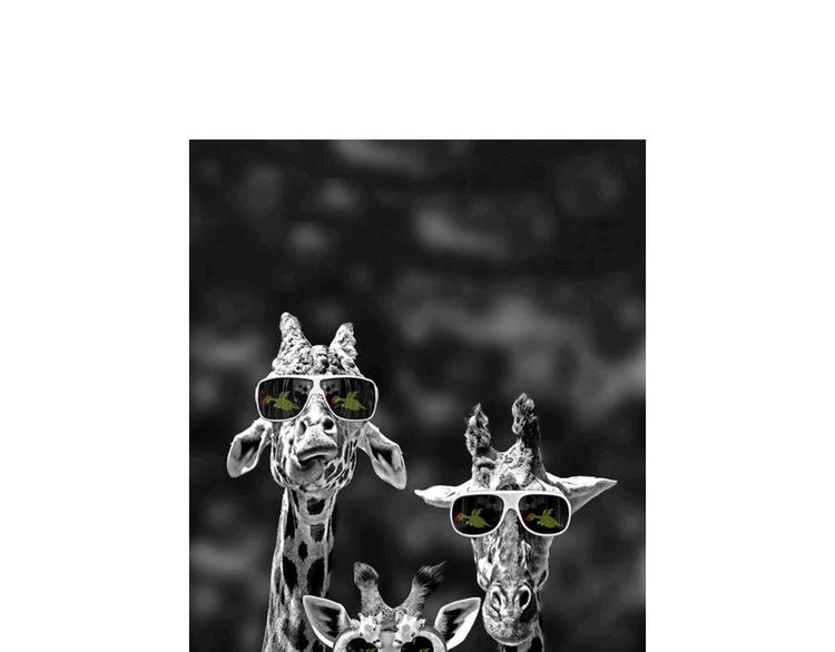 绘心一笑漫画,一路向西2图