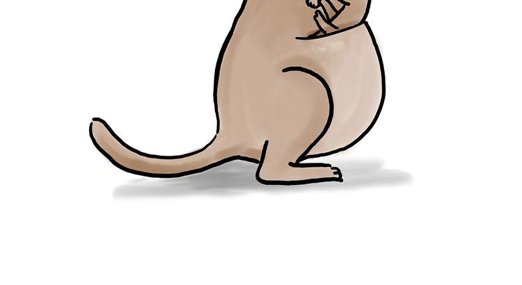 绘心一笑漫画,来自星星的你1图