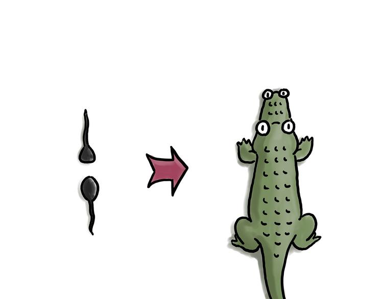 绘心一笑漫画,师父看快播3图