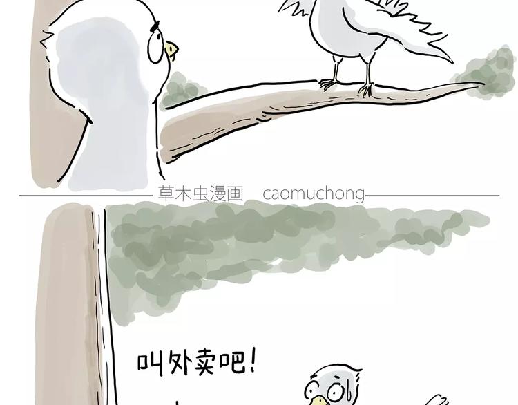 绘心一笑漫画,啄木鸟看病1图