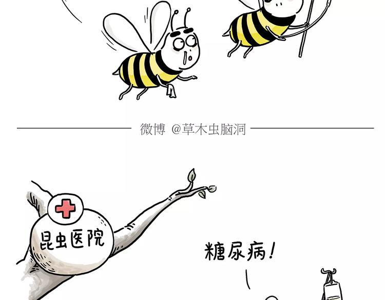 绘心一笑漫画,第152话 苹果鸟？？？2图