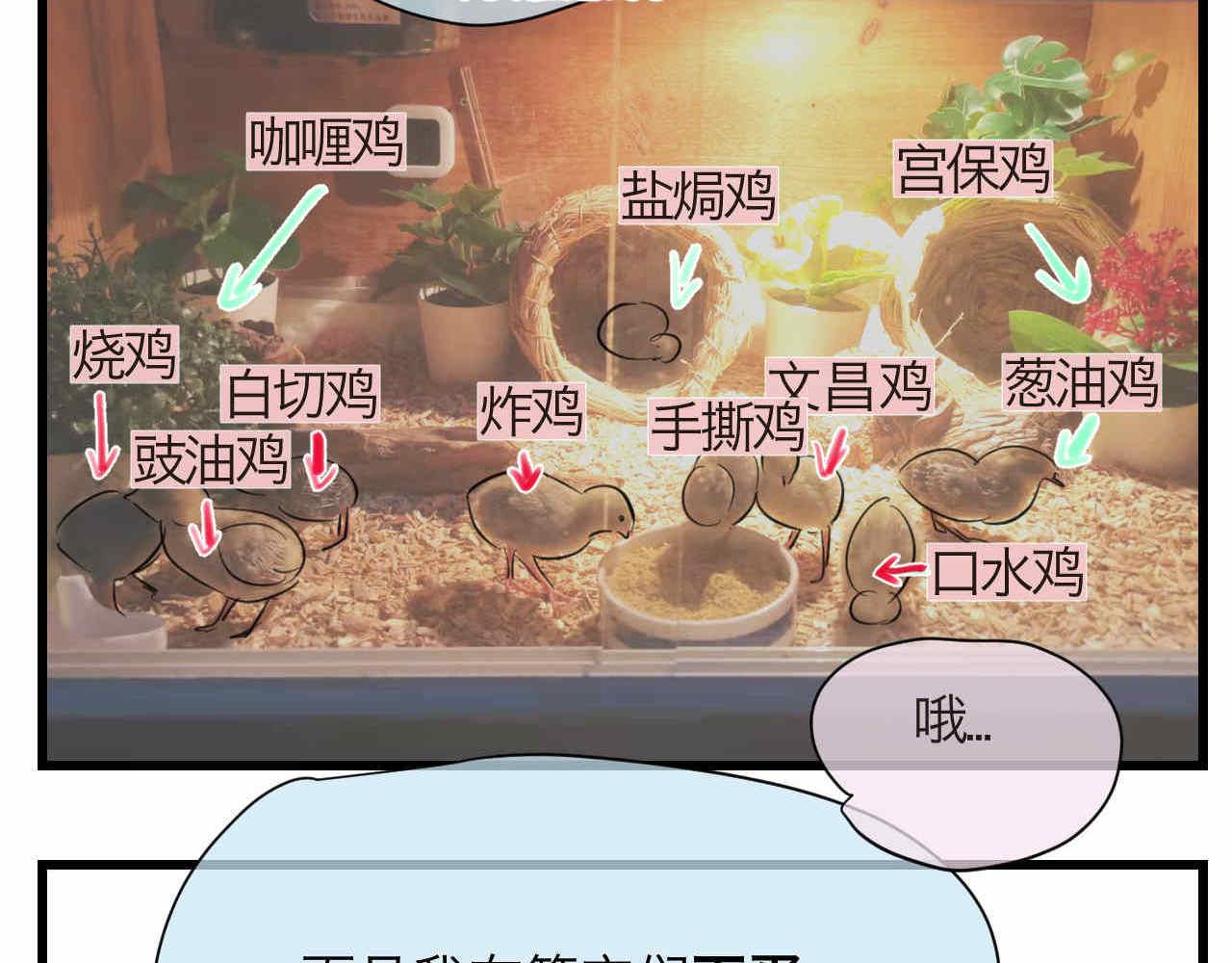 第一次做妈妈漫画,81.网红小鸡2图