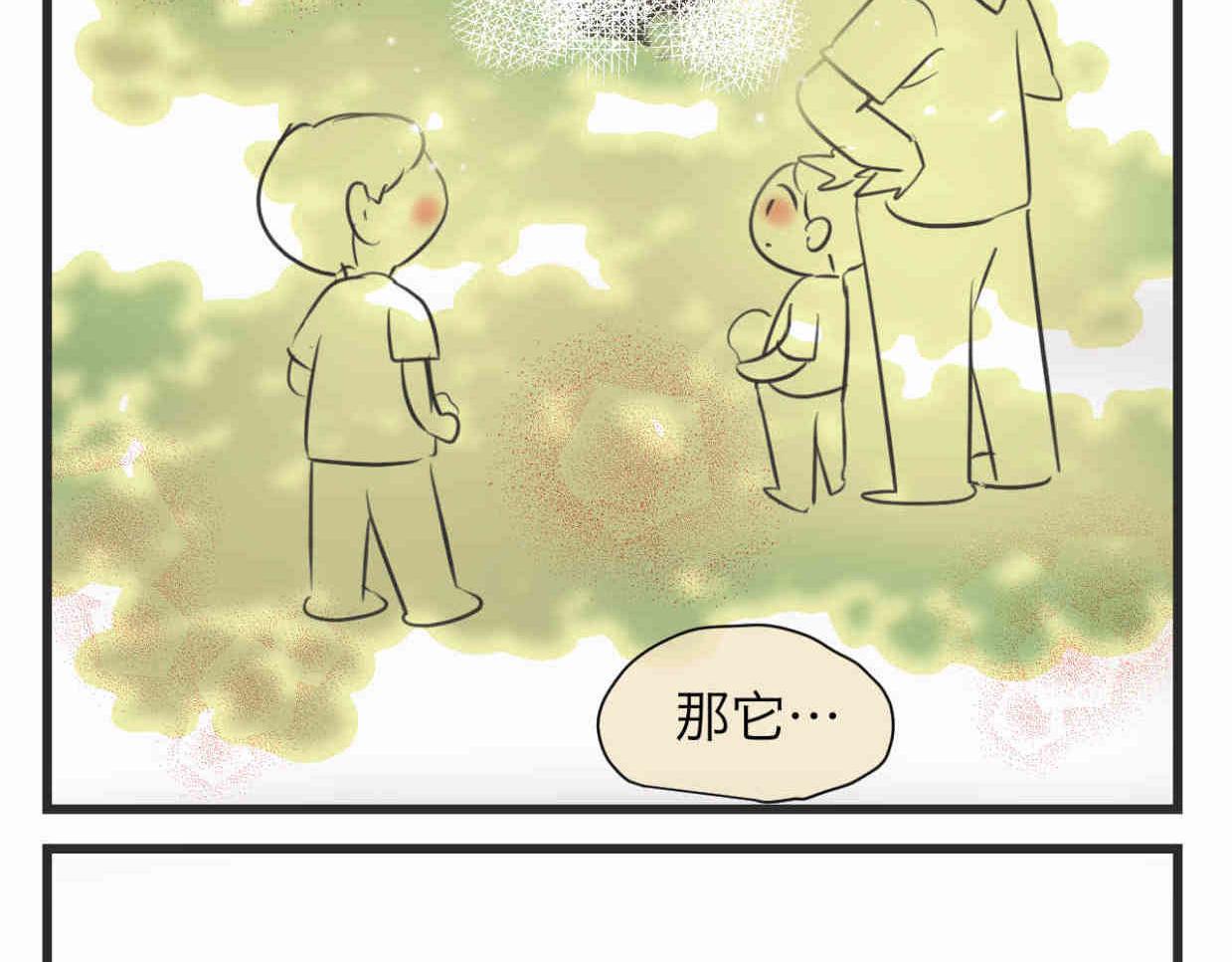 第一次做妈妈漫画,113.木棉花的种子1图