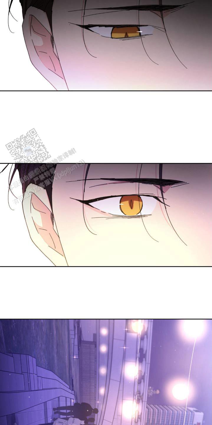 主人的小猫咪漫画,第212话2图