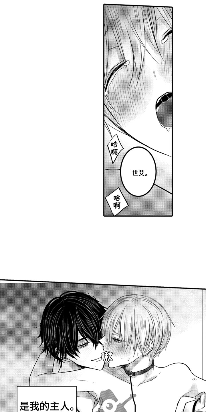 心跳信息素漫画免费下拉式漫画,第100话5图