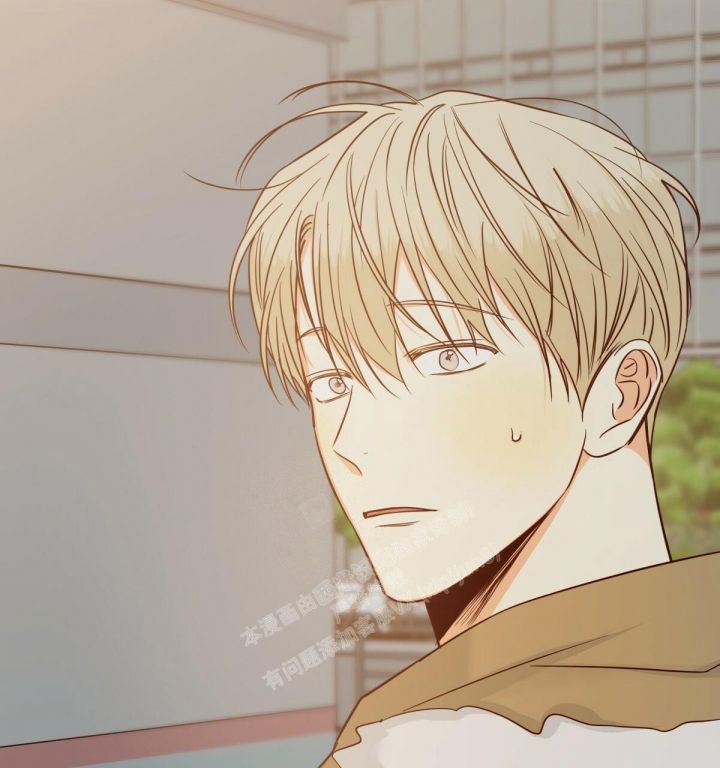 危险便利店第二季全文免费阅读漫画,第138话4图