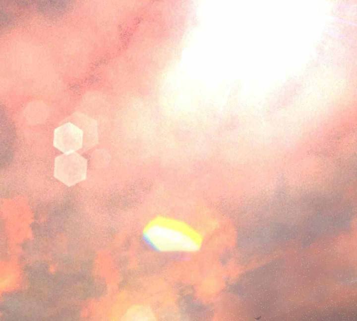 物种起源提出什么理论漫画,第121话1图