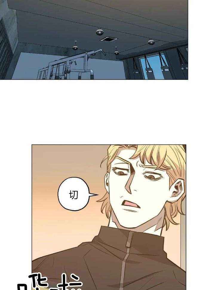 当杀手坠入爱河txt漫画,第81话2图