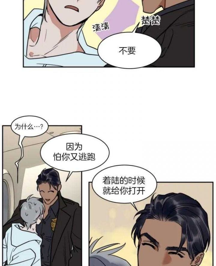 私人房东减免房租规定漫画,第136话5图