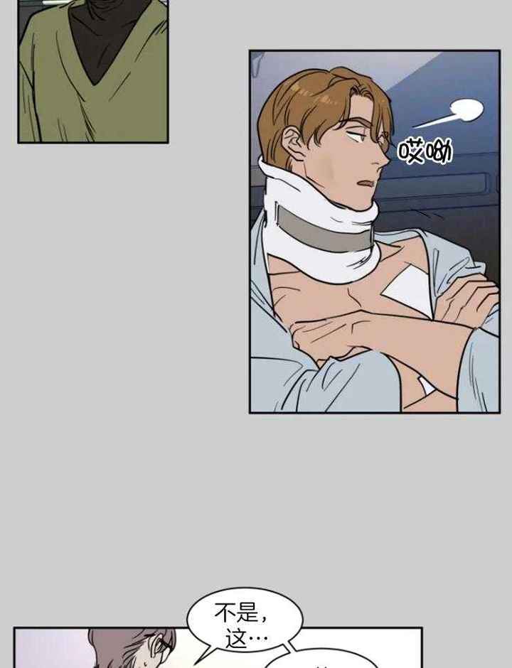 私人房东减免房租规定漫画,第155话5图