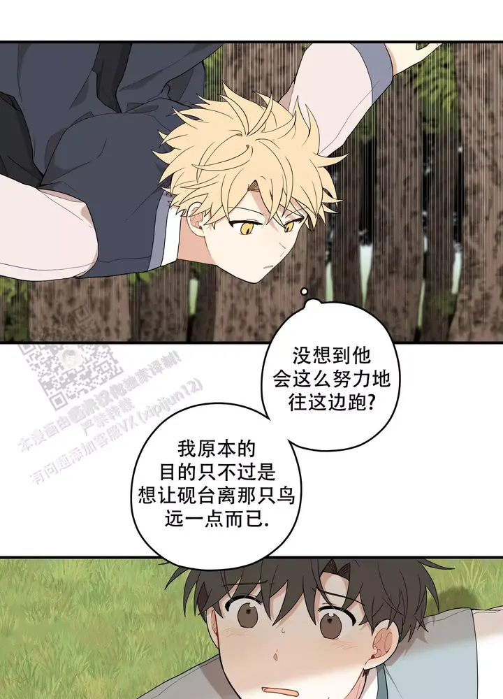 铺满金钟花的路免费在线观看漫画,第54话2图