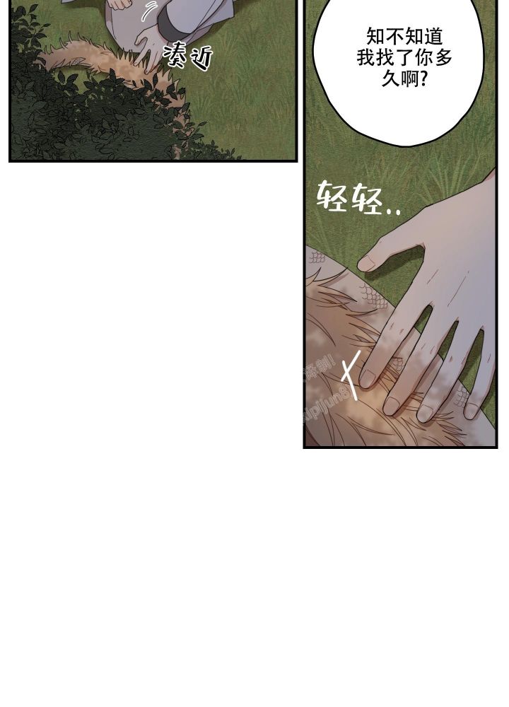 铺满金钟花的路完整版漫画,第17话2图