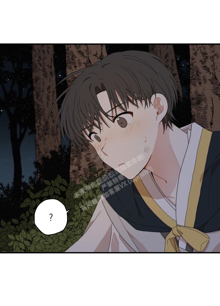 铺满金钟花的路完整版漫画,第17话3图