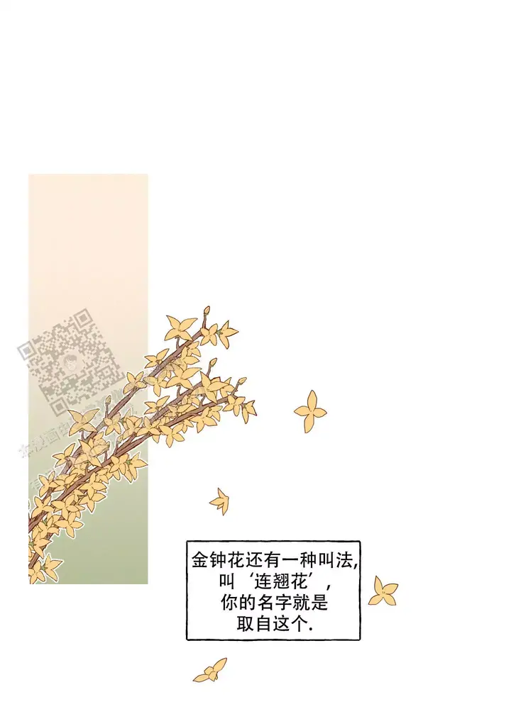 铺满金钟花的路动漫漫画,第52话1图