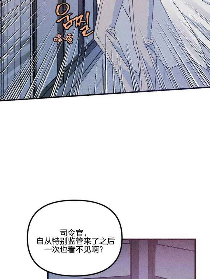 代号迷雾漫画免费看漫画,第73话5图