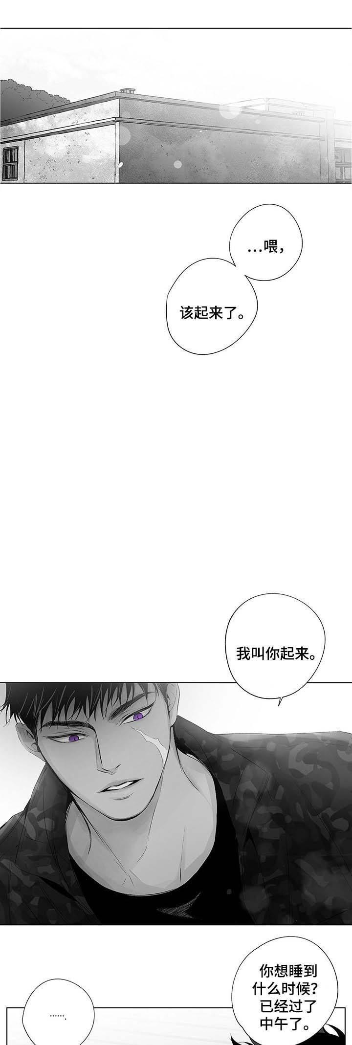 蜜月酒店杀手事件豆瓣评分漫画,第49话1图