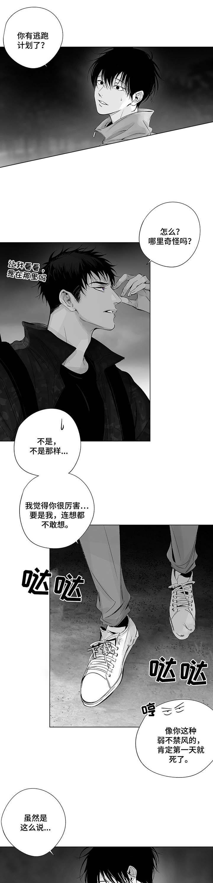 蜜月旅行定制一般多少钱一个人漫画,第42话1图